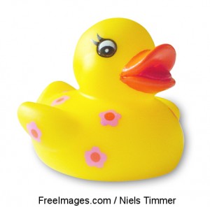 RubberDuck